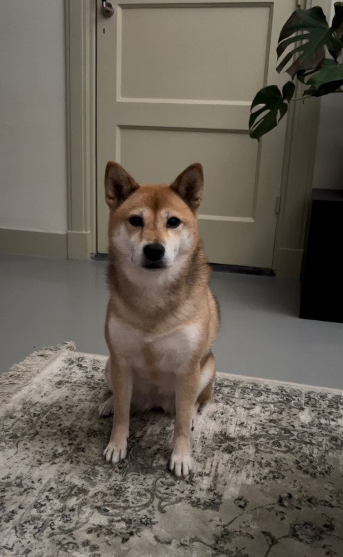 Akira