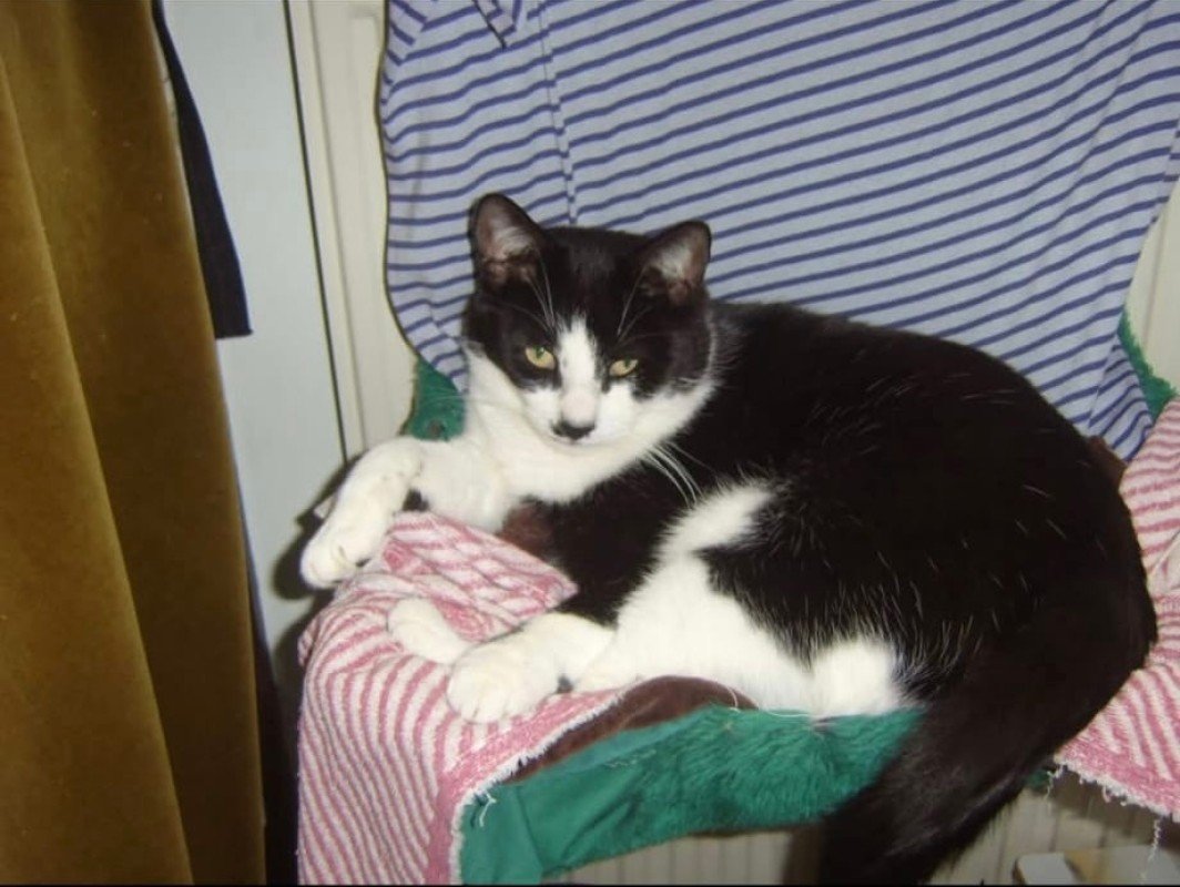 Felix