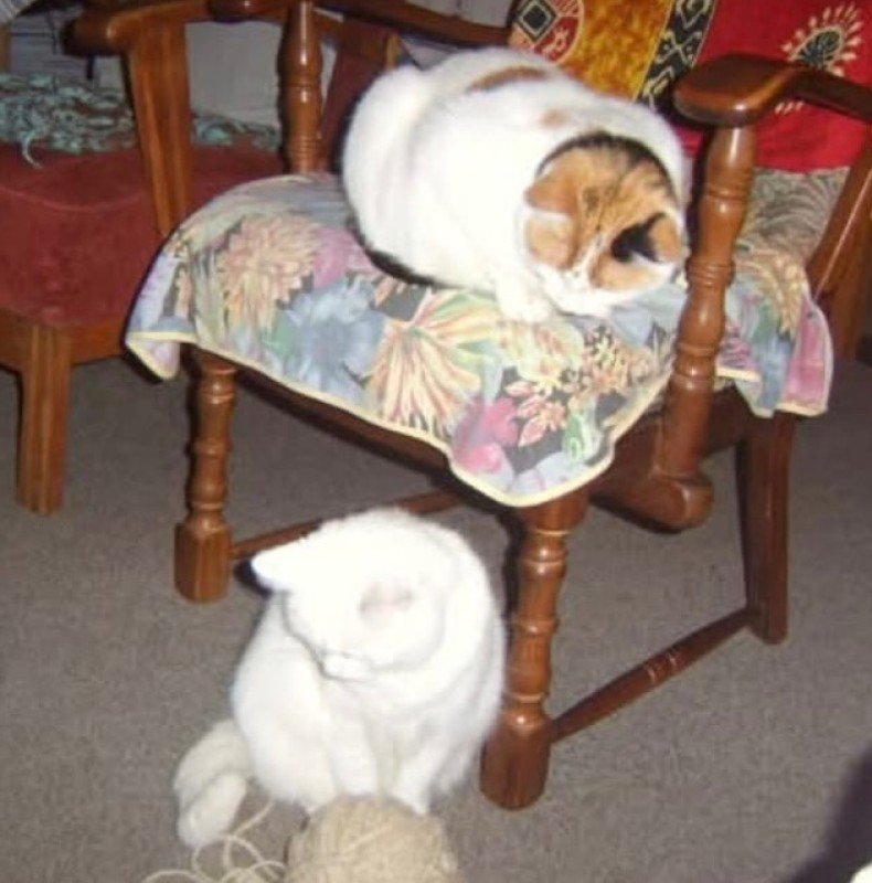 Blanchie