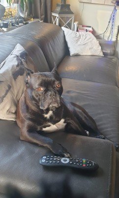 Billy
