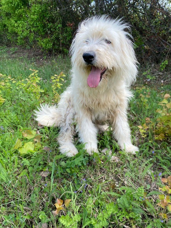 Milly