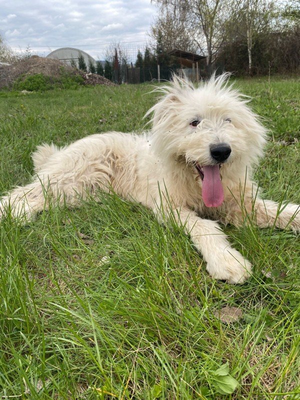 Milly