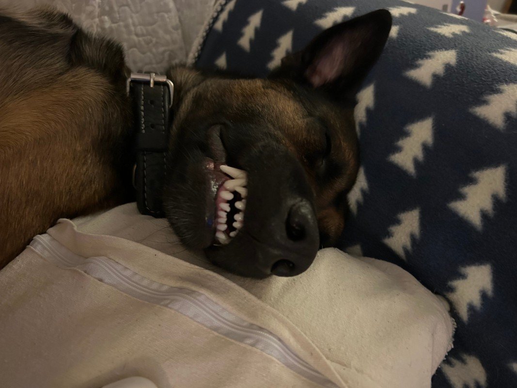 Diesel