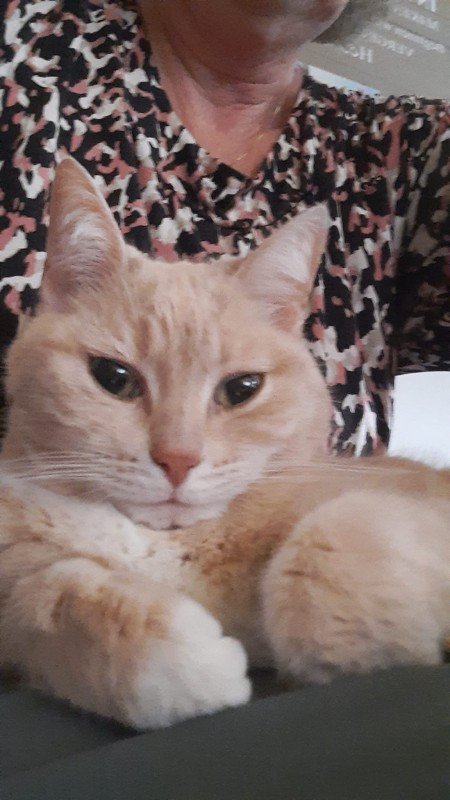Lola