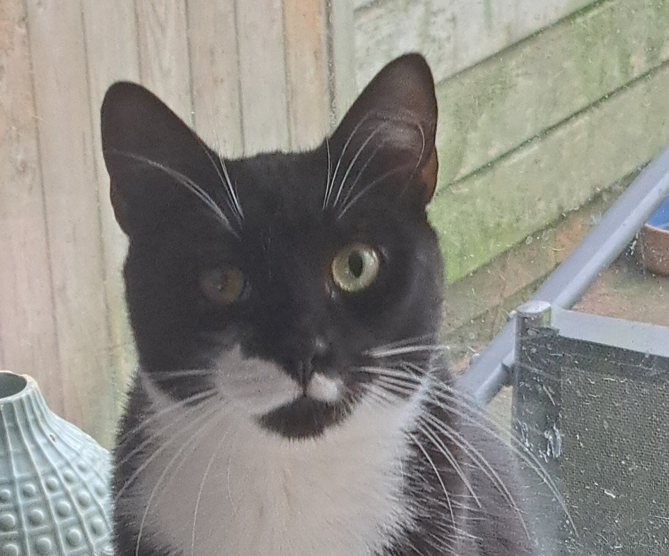 Rocket