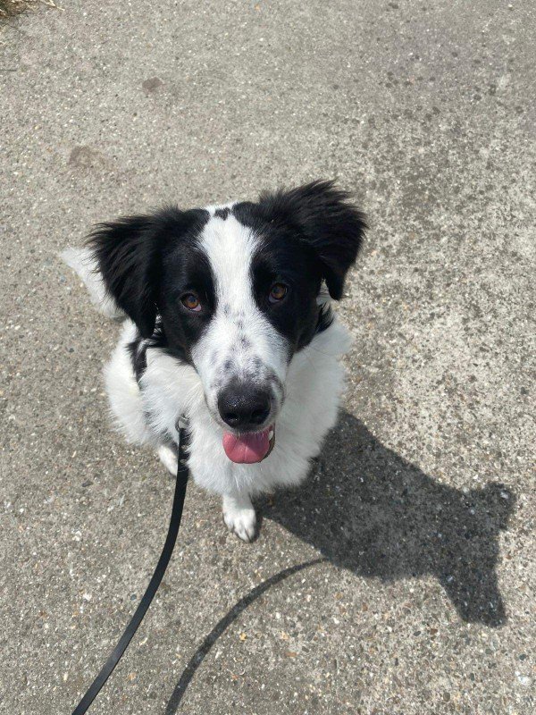 Ella