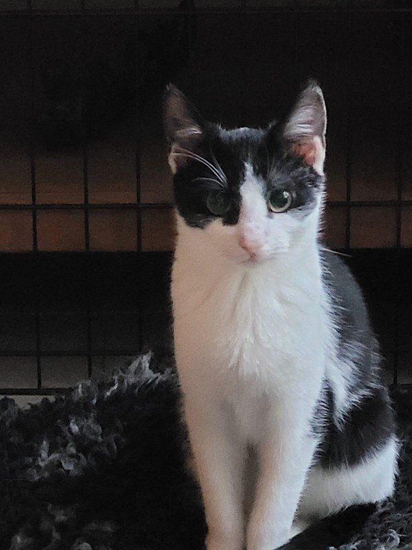 Marley