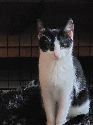 Marley