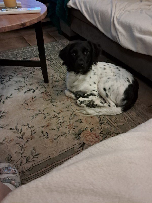 Nora