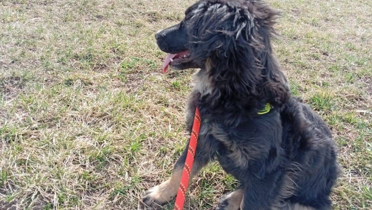 Gina