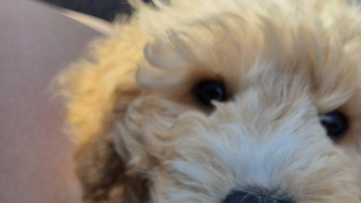 Franco