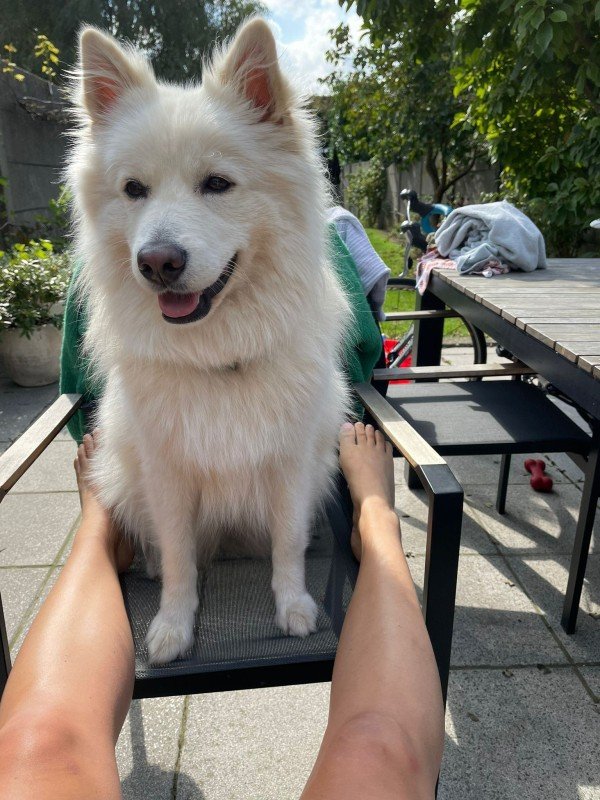 Milo