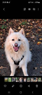 Milo