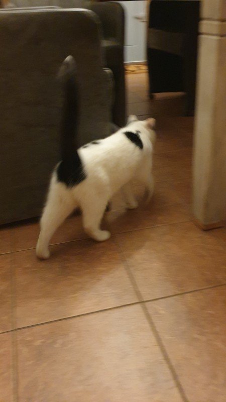Esther