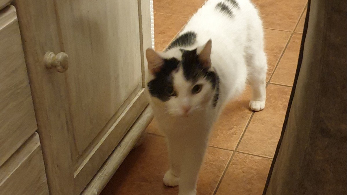 Esther