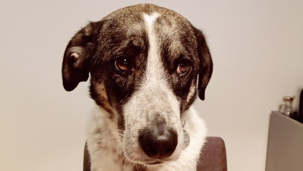 *SPOED* Lola