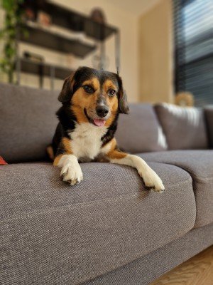 Pablo
