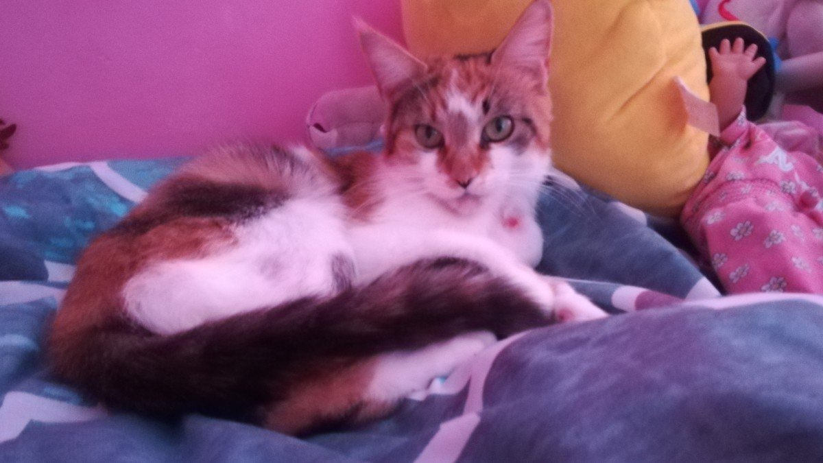Elza
