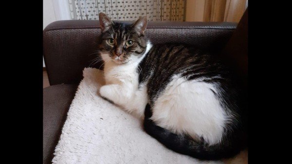 Mimie