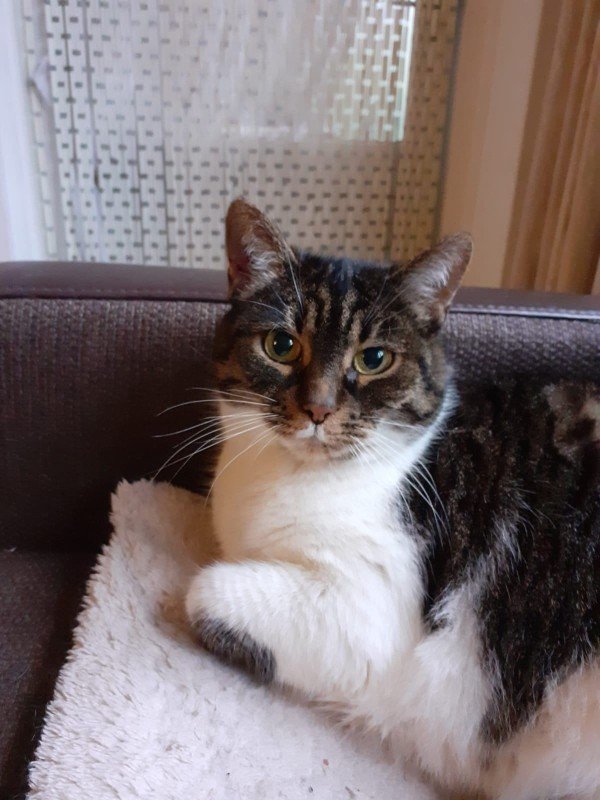 Mimie
