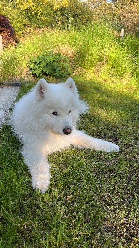 George