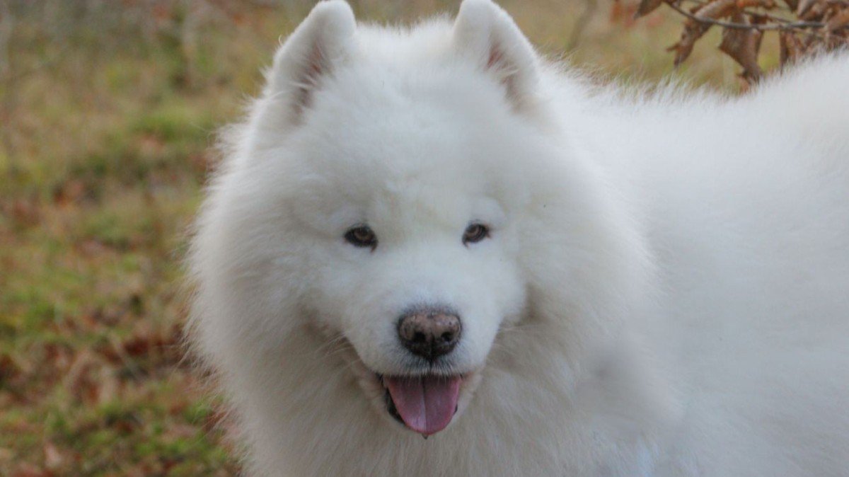 George