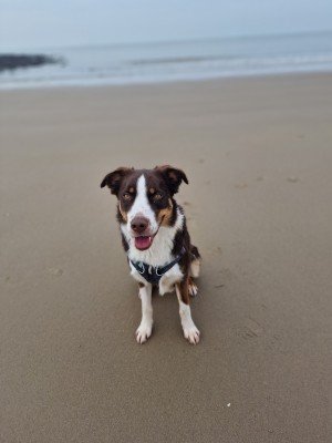 Lumi