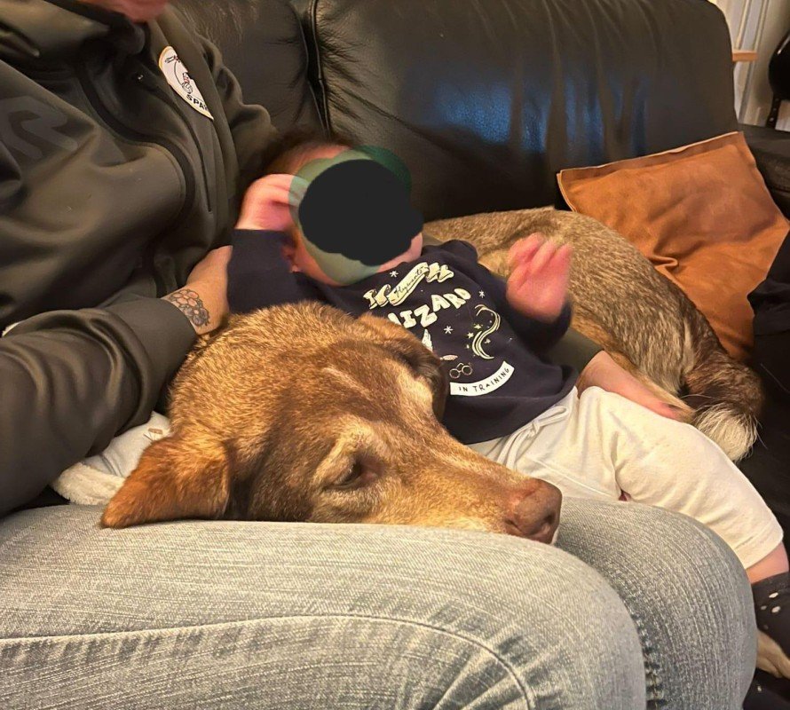 Jax