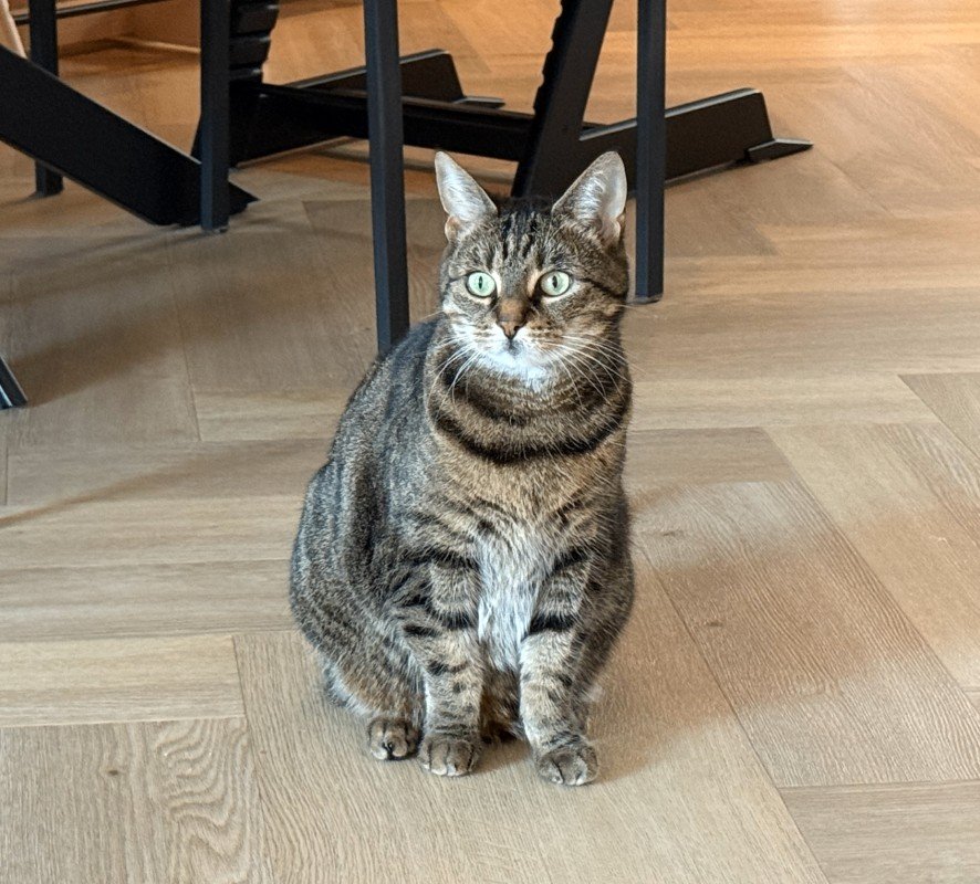 Mia