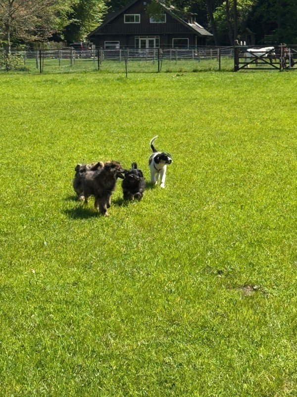Jaxx