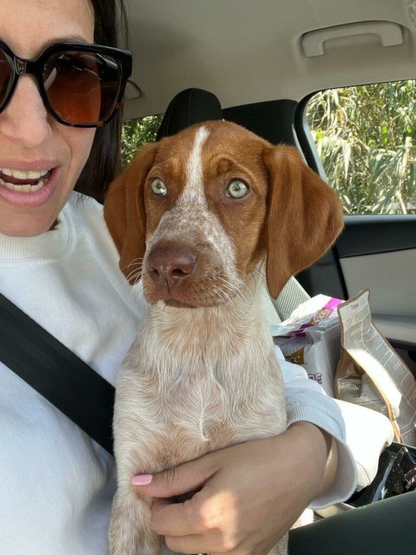 Pippa