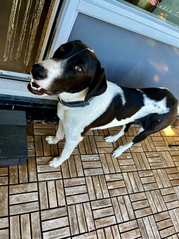 Mika