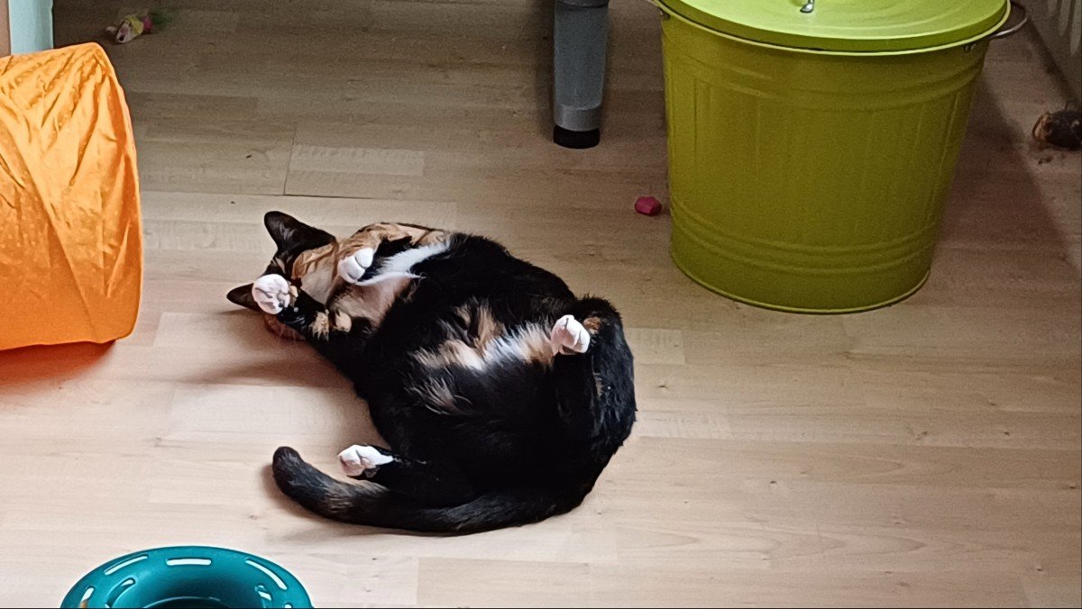 Millie