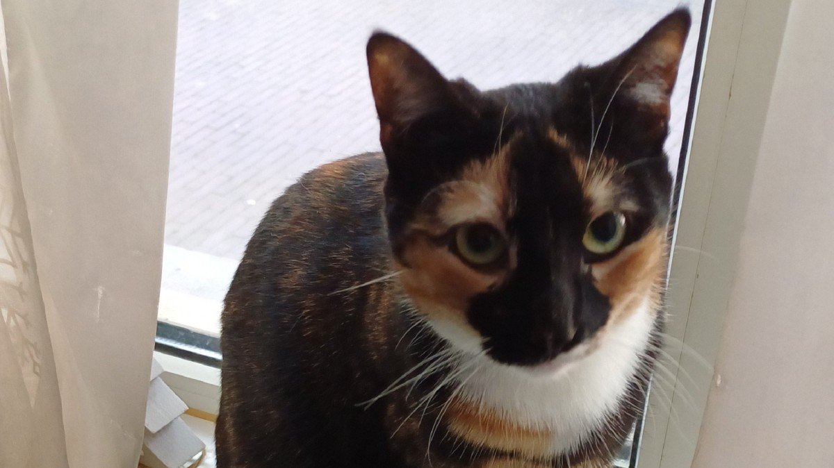Millie