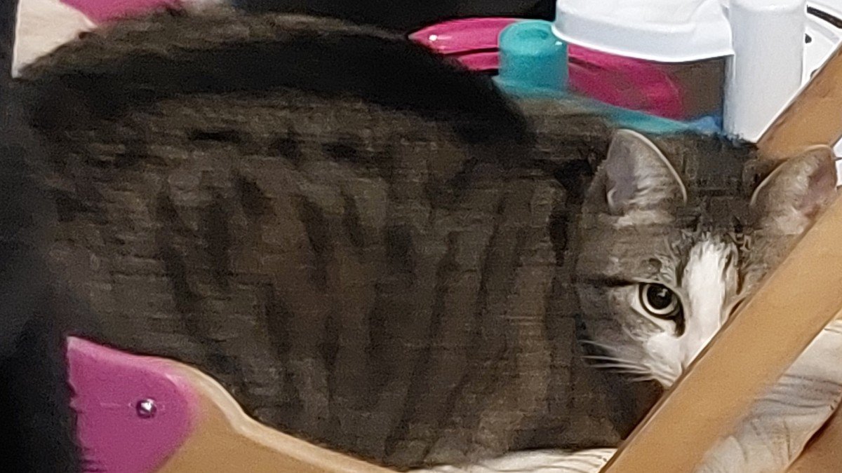 Dora