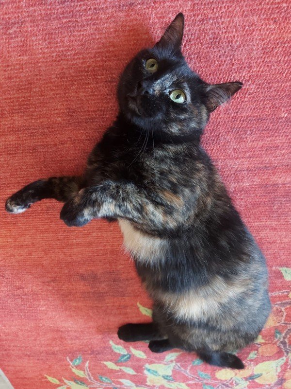 Luna