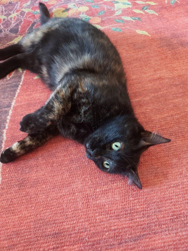 Luna