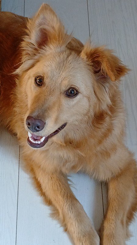 Sayra