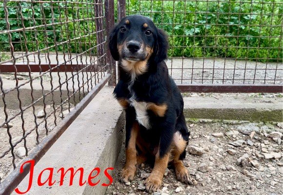 James