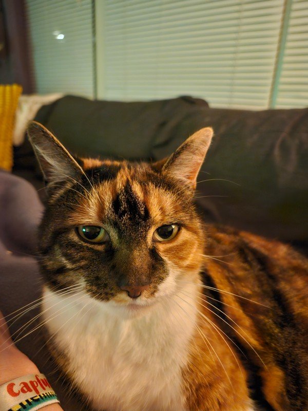 Nala