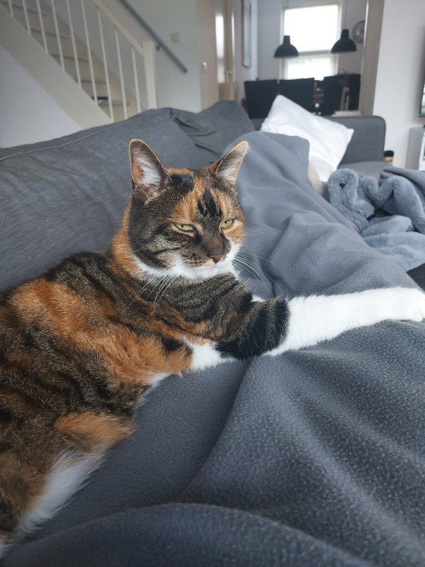Nala