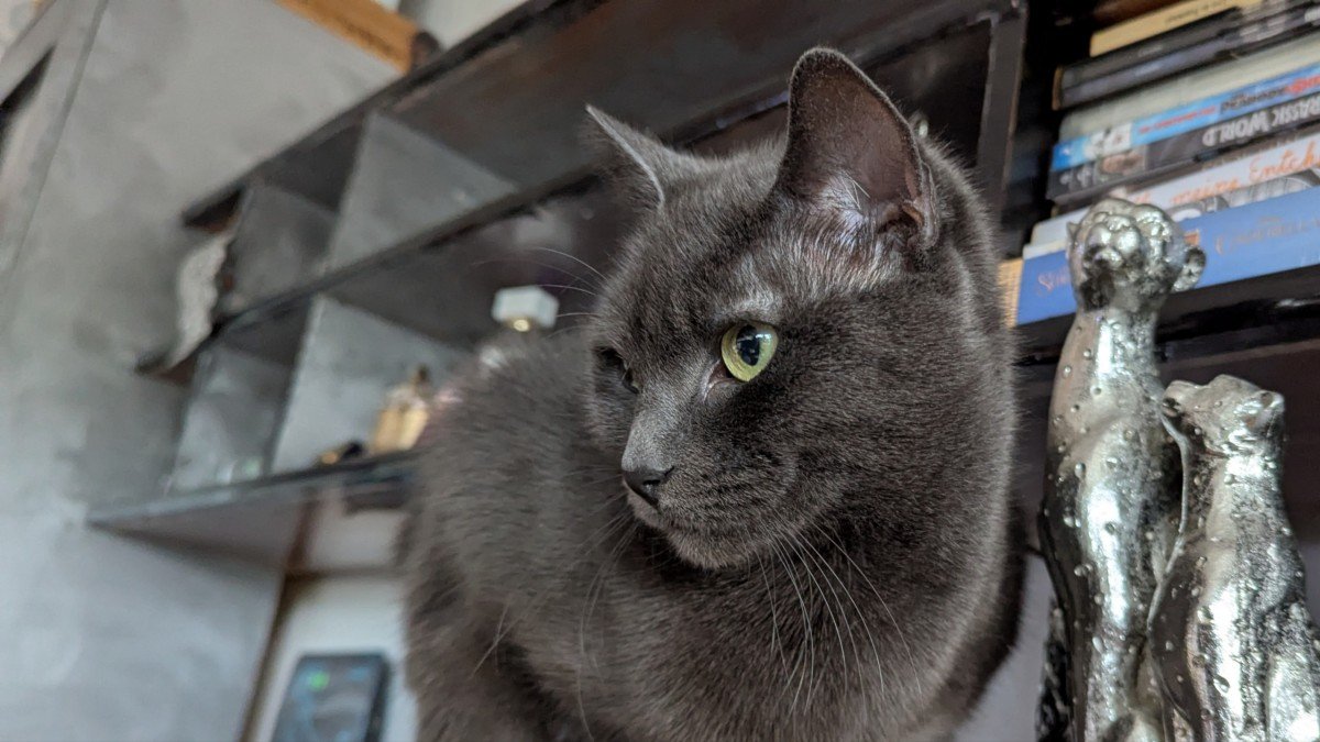 Susi