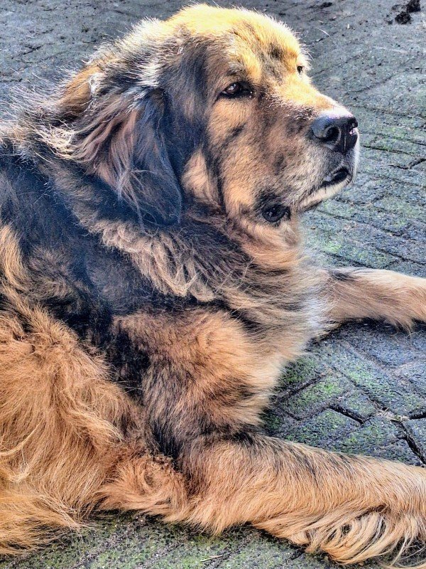 Baruch