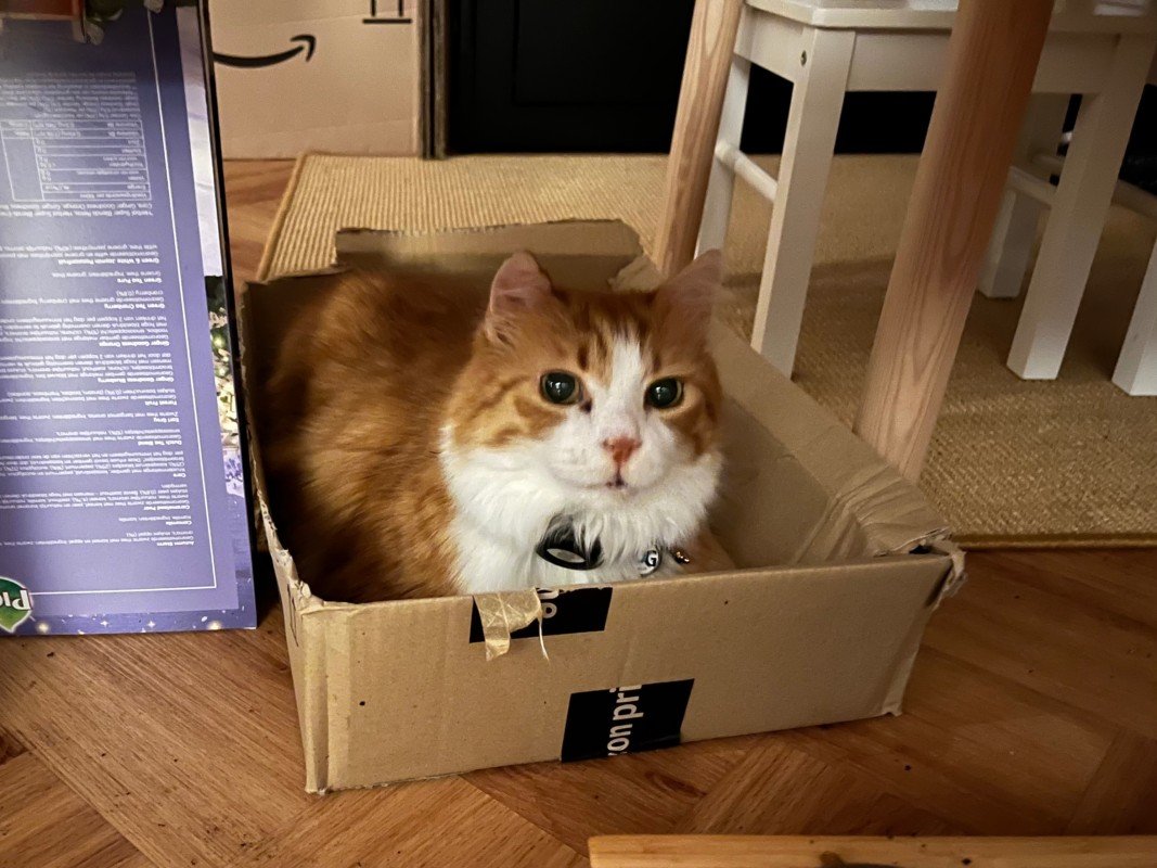 Garfield