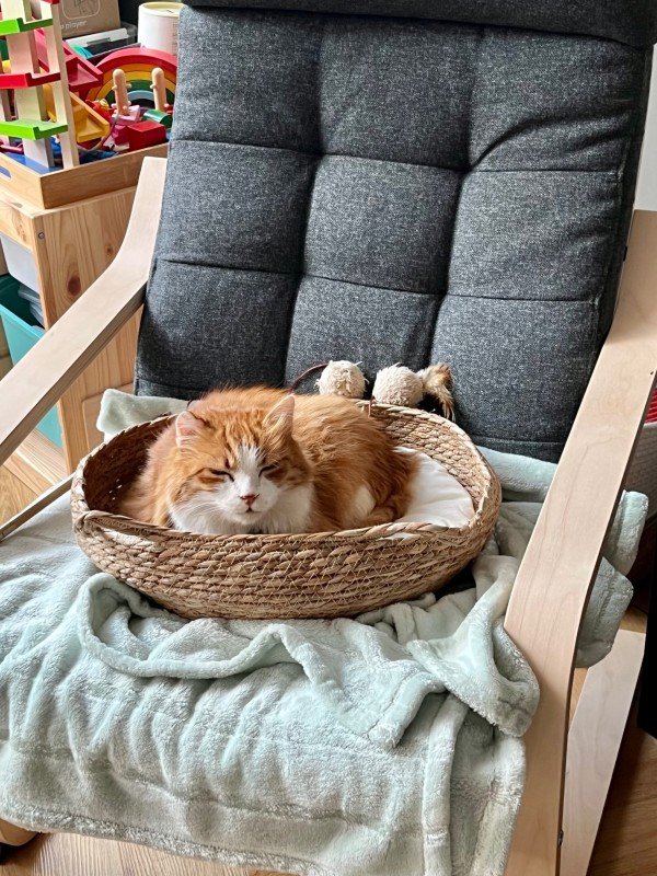 Garfield