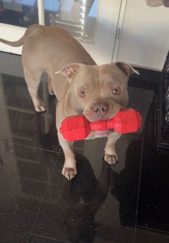 Tyson