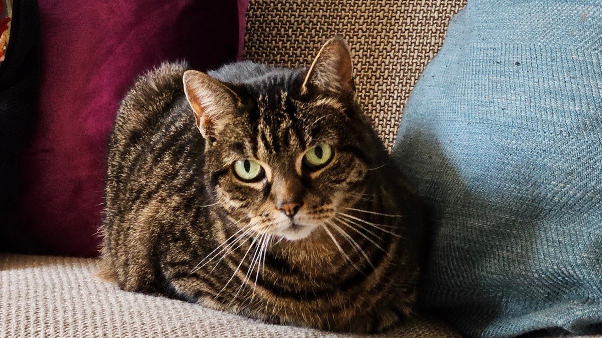 Skye