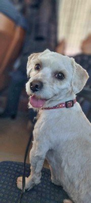 Archie