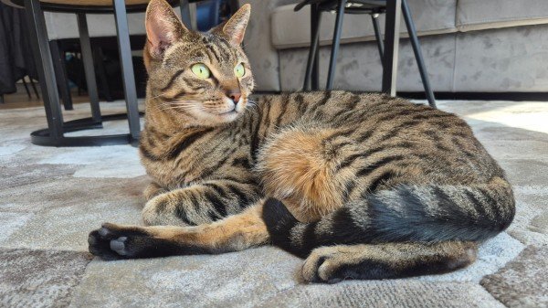 Coco