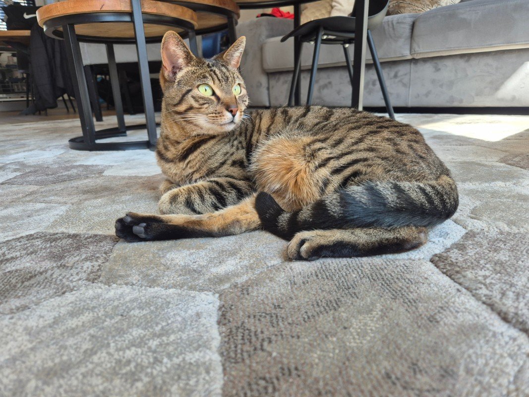 Coco